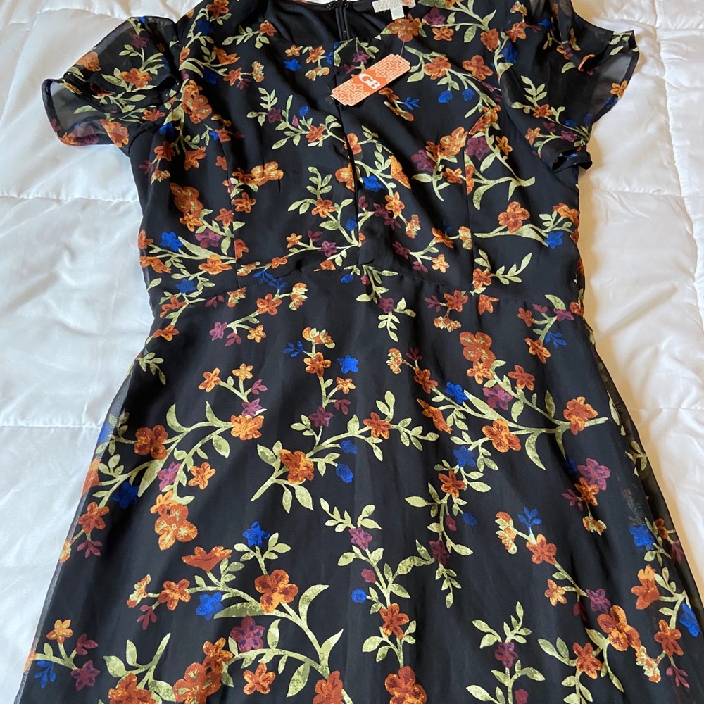 Keyhole Skater Dress